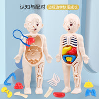 Simulated Human Skeleton Model Teaching Set STEAM Science Education DIY Assembly Toy for Students