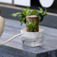 Soilless-Growing Bulb Vase 2-Layer Design Bulb Forcing Pot Gardening Supply for Plant Lovers, Indoor, Office