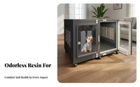 Clear Dog Enclosure Luxury Villa Design Clear Panel Dog House Transparent View Easy to Clean