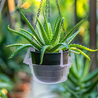 Hanging Planter Tray Translucent Plant Water Catcher Wide Rim