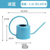 亚马逊热销轻奢创意洒壶园林植物复古不锈钢淋花浇水壶