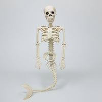 Light-up Halloween Mermaid Skeleton Articulated Skeleton with Mermaid Tail Posable Prop Movable for Haunted House, Porch