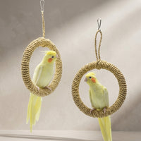 Swing Toy and Budgie Toy for Small Parakeets, Rope Only Circular Climbing Toy for Cockatiel Birds, No Bell Hanging Perch for Cage Enrichment