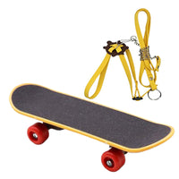 Adjustable Turtle Harness and Mini Skateboard Set