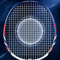 WITESS Badminton Racket Set for Adults, Durable Carbon Fiber Ultra-Lightweight Rackets for Beginners, Men and Women
