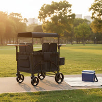Push Wagon Push Wagon Padded Seats Child Weather Hood Infant Gear