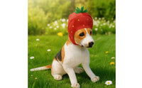 Strawberry Hat Soft Pet Hat Padded for Costume Parties