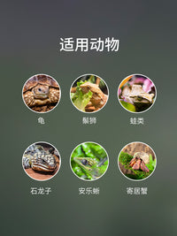瑞皮Reptizoo爬宠温湿度计爬虫饲养箱温度计宠物角蛙蜥蜴龟鬃狮