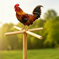 Wooden Chicken Perch Stand Ground Stake Chicken Perch Stand Sturdy