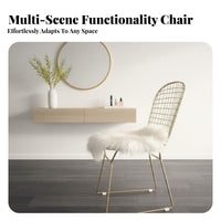 Wire Mesh Armchair Nordic aesthetic Vanity Stool Gold-Tipped Legs for Adults, Guests