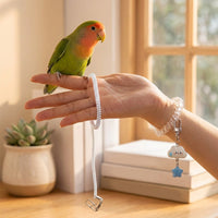 Parrot Leash and Flying Leash for Parrots with Leg Band, Budgie Leash and Cockatiel Leash, Outdoor Bird Harness for Control