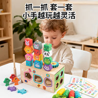 Wooden Animal Shape Sorting Toy with Fruit Matching and Fishing Game