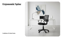 Mesh spine Task Chair Height Adjustable Office Furniture Breathable spinerest