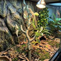 45cm Bark Textured Vivarium Decoration, Gecko Terrarium Accessories for Climbing, Realistic Branch with Green Red and Tangerine Foliage