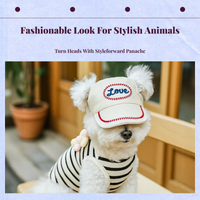 Adjustable Pet Sport Cap, Sun Hat for Dogs, Hiking