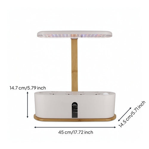 Countertop Hydroponic Planter with LED Grow Light Compact Hydroponic Planter Slimline Indoor Garden with Grow Light Transparent for Apartment Dwellers, Gardeners, Kitchen, Office, Windowsill