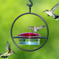 Hummingbird Feeder with Glass Reservoir Compact for Balcony