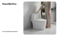 Easy to Clean single-Piece Siphonic Toilet Water-Saving Ware Modern Design Bathroom Fixture Soft-Close Seat for Homeowners, Families, Renovators, Restroom, Home, Powder Room
