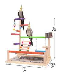 Parrot Frosted Perch with Ladder, Swing, and Chew Toy for Climbing