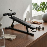 Adjustable Sit up Bench Padded Decline Core Training Bench Metal Frame