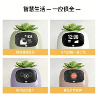 新品二代lvy情绪智能植物萌宠机器人智能花盆栽桌搭潮玩摆件批发