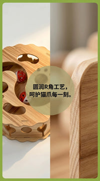 猫玩具猫咪电动蝴蝶逗猫棒自嗨解闷小猫掏掏乐逗猫神器宠物猫用品