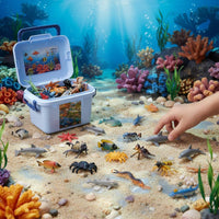 Realistic Sea Creature Figurines Educational Ocean Creature Model Set Solid