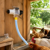 poultry feeder