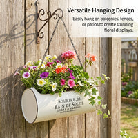Vintage Iron Hanging Planter, Metal Hanging Pot with Chain, Baked Enamel Finish for Indoor/Outdoor, Balcony Verandah Patio