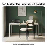 Curved rear Dining Chair Italian-Inspired home-design Furniture adaptable Ergonomic rearrest for Homeowners, Adults, Living Room
