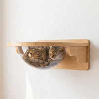 Mounted Cat Bed Perch and Wall-Mounted Modern Furniture, 15-Piece Solid Wood Activity Set with Scratching Surface for Large Cats to Rest and Play