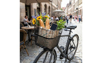 Long-Lasting Wire Mesh Bike Basket for Errands