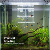 Buoyant Aquatic Breeding Box Suction Holder Mount Aquatic Breeder Box Fry Hatchery Double Placement for Aquarists