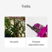 Orchid Plant Support Stakes and Flower Clips Set
