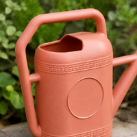 Garden Watering Can with Long Nozzle and Removable Diffuser, 3 L, Plastic, Brown