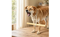 Dog Training Stick Solid Wood Dog Training Tool Lightweight