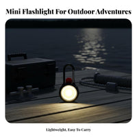Mini Carabiner Torch High Brightness LED Keychain Flashlight Lightweight Portable Torch for Hikers, Pet Owners, Outdoor, Camping, Emergencies