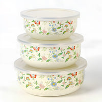 Enamel Food Storage Bowl Set with Lids, Sealed, for Refrigerator, Portable Five-Piece Set