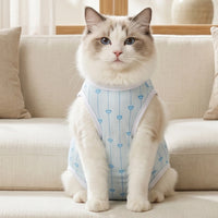 Fitted Female Feline Recovery Suit Blue Post-Surgery Feline Suit Heart Print White Trim
