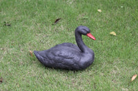 Black and White Swan Ornament PE Blow Molded Garden Decoration