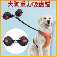 拴狗固定器狗狗洗澡固定器室内宠物吸盘猫咪神器美容吊绳
