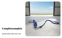 Horse Bridle with Reins Long-Lasting Adjustable Horse Bridle Equestrian Supplies Padded for Comfort Wear-Resistant