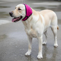 Waterproof Dog Aural Cover Summer Use Pet Accessory Noise Reduction for Swimming