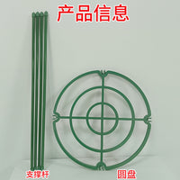 花支架月季花架植物盆室内花卉支撑杆园艺绿萝支架爬藤架客厅绿植