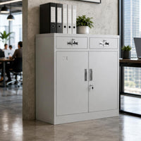 Lockable Filing Cabinet Partition Board Double-Door Filing Cabinet Compact