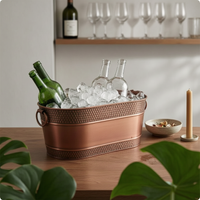 Galvanized Metal Ice Container Easy to Clean Galvanized Ice Container Carry