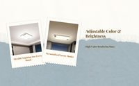 Dimmable LED ceiling light