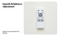Ceiling Fan Controller Slim Design Fan Light Controller Control