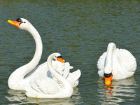 Floating Swan Sculpture for Garden Fountain Decoration