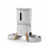 5L Automatic Cat Feeder with Two Bowls Transparent Automatic Cat Feeder with Double Bowl Stable for Indoor